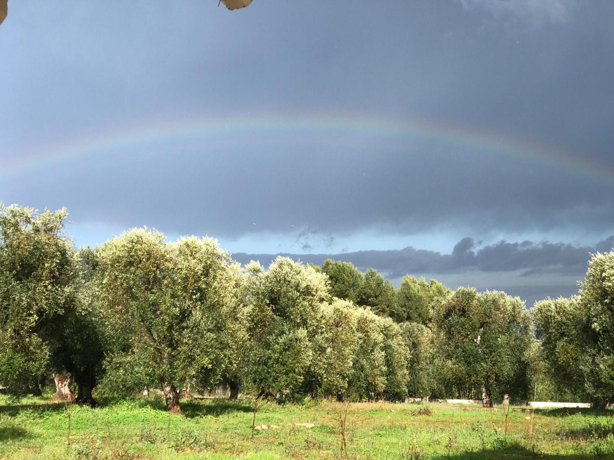 Tenuta La Pomona Ostuni Dış mekan fotoğraf