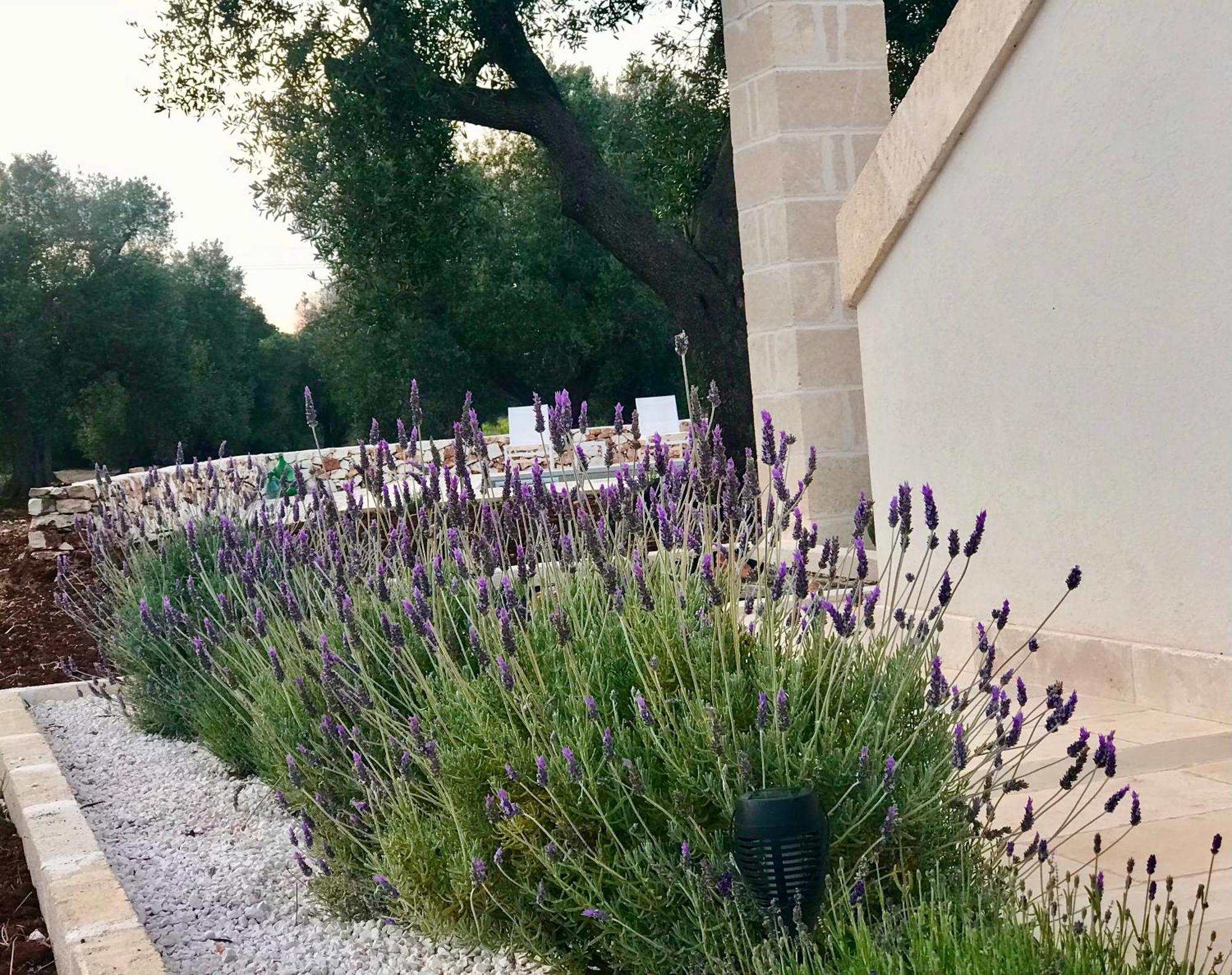Tenuta La Pomona Ostuni Dış mekan fotoğraf